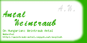 antal weintraub business card